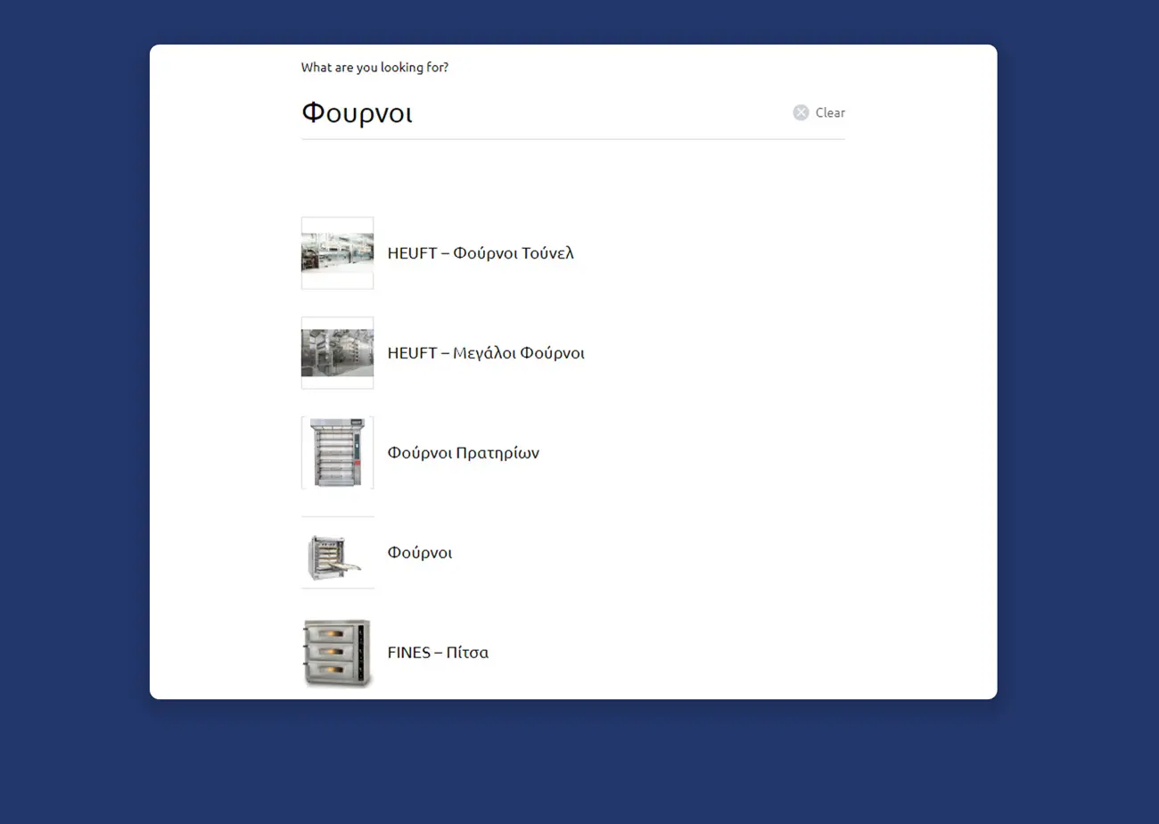 Κατασκευή ιστοσεελίδας FMI search2