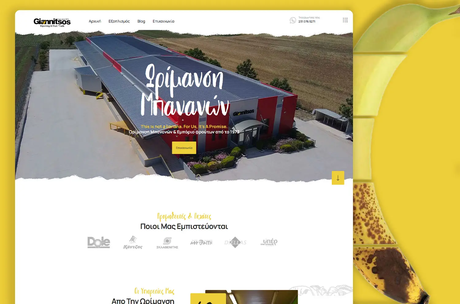 Κατασκευή ιστοσελίδας λαχαναγορας θεσσαλονίκης PORTFOLIO 1