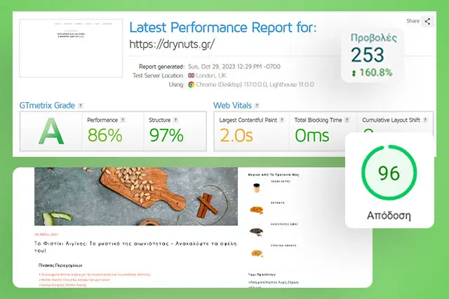 Προωθηση ιστοσελίδας drynuts PORTFOLIO 1