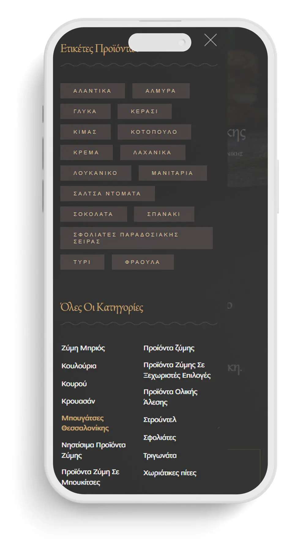 κατασκευή ιστοσελίδας καβάλα φιλτρα