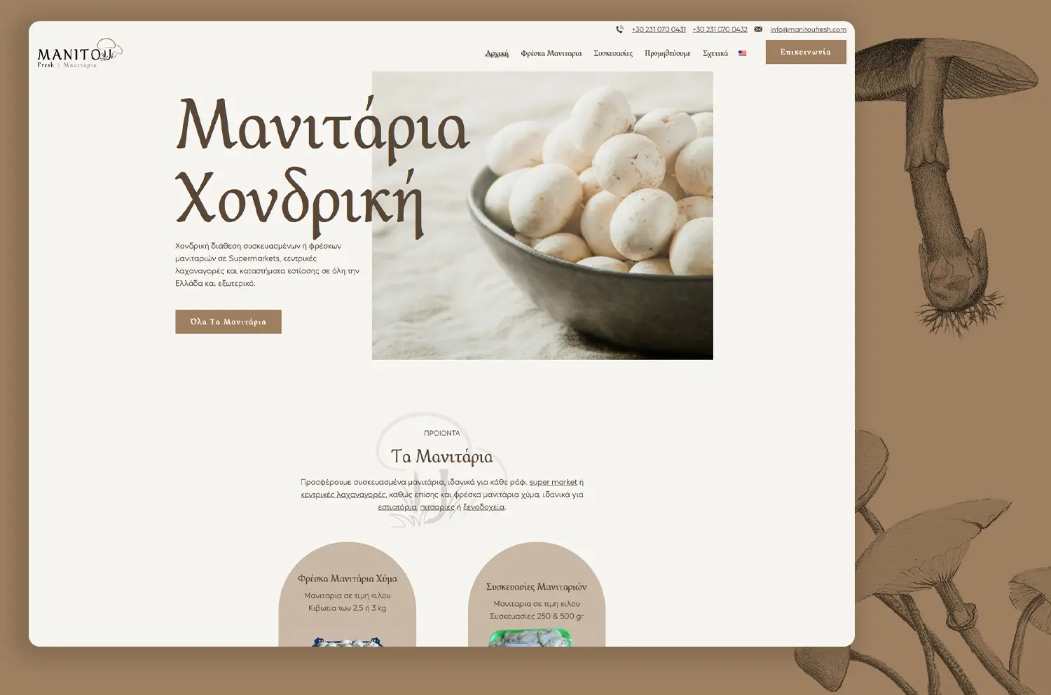 κατασκευή εταιρικής ιστοσελίδας b2b χονδρικού εμπορίου μανιταριών στη Θεσσαλονίκη Aimweb